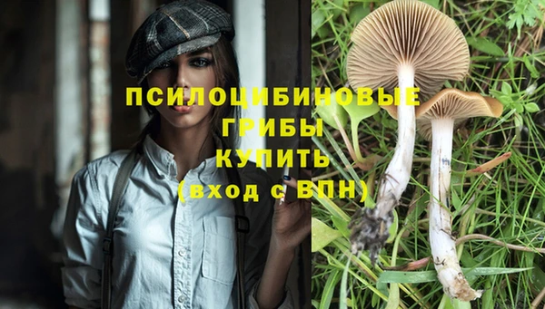 бутират Балабаново