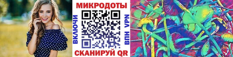 kraken tor  Зеленогорск  Псилоцибиновые грибы прущие грибы 